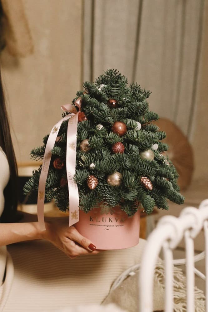 Фото Елочка из нобилиса